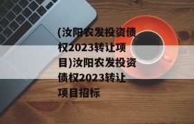 (汝阳农发投资债权2023转让项目)汝阳农发投资债权2023转让项目招标