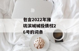 包含2022年潍坊滨城城投债权26号的词条