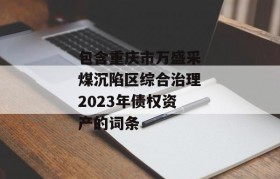 包含重庆市万盛采煤沉陷区综合治理2023年债权资产的词条