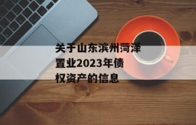 关于山东滨州菏泽置业2023年债权资产的信息