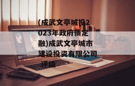 (成武文亭城投2023年政府债定融)成武文亭城市建设投资有限公司 评级