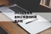 2022山东寿光金财公有债权的简单介绍