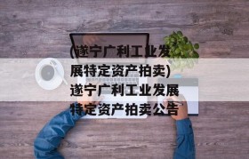 (遂宁广利工业发展特定资产拍卖)遂宁广利工业发展特定资产拍卖公告