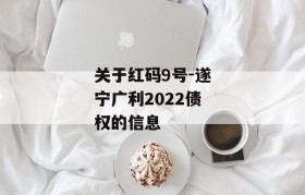 关于红码9号-遂宁广利2022债权的信息