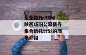 大业信托-70号陕西咸阳公募债券集合信托计划的简单介绍