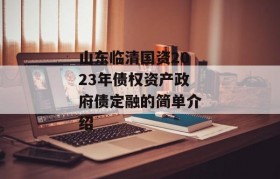 山东临清国资2023年债权资产政府债定融的简单介绍