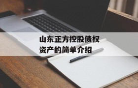 山东正方控股债权资产的简单介绍