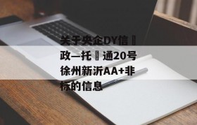 关于央企DY信‮政—托‬通20号徐州新沂AA+非标的信息