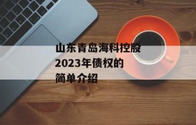 山东青岛海科控股2023年债权的简单介绍