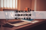 (邹城市LM2022融资计划)邹城2021大项目