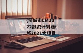 (邹城市LM2022融资计划)邹城2021大项目