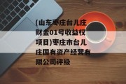 (山东枣庄台儿庄财金01号收益权项目)枣庄市台儿庄国有资产经营有限公司评级