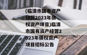 (临清市国有资产经营2023年债权资产项目)临清市国有资产经营2023年债权资产项目招标公告