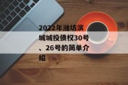 2022年潍坊滨城城投债权30号、26号的简单介绍