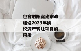 包含射阳鑫建市政建设2023年债权资产转让项目的词条