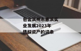 包含滨州市惠滨实业发展2023年债权资产的词条