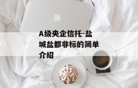 A级央企信托-盐城盐都非标的简单介绍