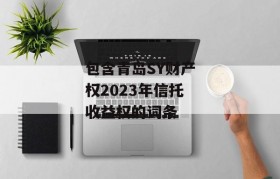 包含青岛SY财产权2023年信托收益权的词条