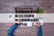 山东邹城市城资控股2023年债权转让政府债定融的简单介绍