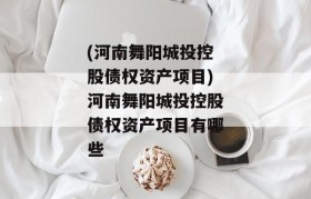 (河南舞阳城投控股债权资产项目)河南舞阳城投控股债权资产项目有哪些