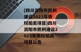 (四川资阳市凯利建设2023年债权拍卖项目)四川资阳市凯利建设2023年债权拍卖项目公告