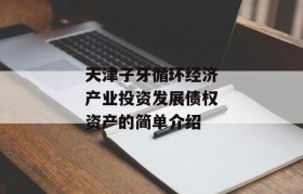 天津子牙循环经济产业投资发展债权资产的简单介绍