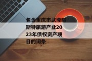 包含重庆市武隆喀斯特旅游产业2023年债权资产项目的词条