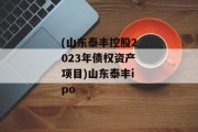 (山东泰丰控股2023年债权资产项目)山东泰丰ipo