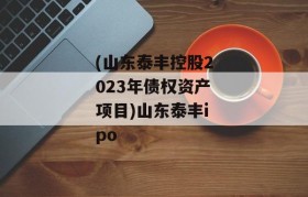 (山东泰丰控股2023年债权资产项目)山东泰丰ipo