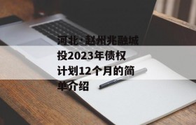 河北·赵州兆融城投2023年债权计划12个月的简单介绍