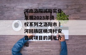 河南洛阳诚助实业发展2023年债权系列之洛阳市瀍河回族区杨湾村安置房项目的简单介绍