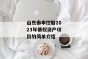 山东泰丰控股2023年债权资产项目的简单介绍