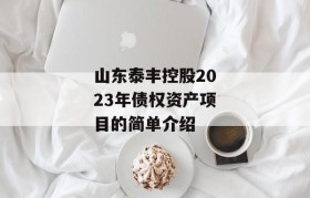 山东泰丰控股2023年债权资产项目的简单介绍