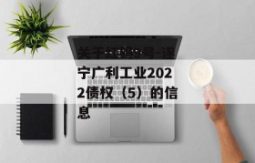 关于红码9号-遂宁广利工业2022债权（5）的信息