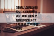 (重庆九黎旅游控股2023年债权资产项目)重庆九黎旅游控股2023年债权资产项目招标