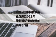 山东滨州市惠滨实业发展2023年债权资产政府债的简单介绍