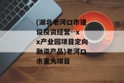 (湖北老河口市建设投资经营--xx产业园项目定向融资产品)老河口市重大项目