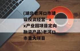 (湖北老河口市建设投资经营--xx产业园项目定向融资产品)老河口市重大项目