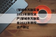 (邹城市万融实业2023年债权资产)邹城市万融实业2023年债权资产转让