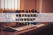 政府债-山东滨州市惠滨实业发展2023年债权资产定融的简单介绍