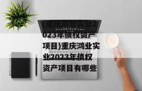 (重庆鸿业实业2023年债权资产项目)重庆鸿业实业2023年债权资产项目有哪些