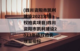 (四川资阳市凯利建设2023年债权拍卖项目)四川资阳市凯利建设2023年债权拍卖项目招标