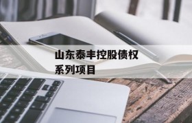 山东泰丰控股债权系列项目