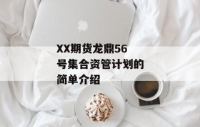 XX期货龙鼎56号集合资管计划的简单介绍