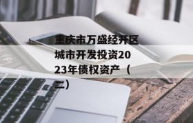 重庆市万盛经开区城市开发投资2023年债权资产（二）