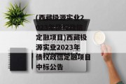 (西藏极源实业2023年债权政信定融项目)西藏极源实业2023年债权政信定融项目中标公告