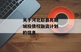 关于河北赵县兆融城投债权融资计划的信息