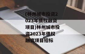 (林州城市投资2023年债权融资项目)林州城市投资2023年债权融资项目招标