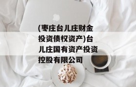 (枣庄台儿庄财金投资债权资产)台儿庄国有资产投资控股有限公司