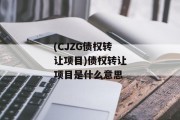 (CJZG债权转让项目)债权转让项目是什么意思